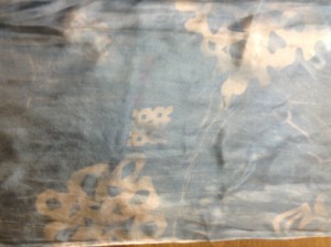 cyanotype 1